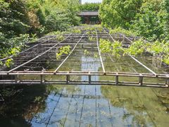 -南汇桃花村