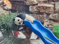 -石家庄市动物园