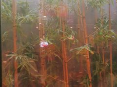 -潮火锅·麻辣牛肉火锅(观音桥方圆·LIVE店)