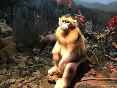 -陕西自然博物馆