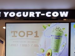 -一只酸奶牛(洪崖洞11楼店)