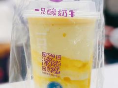 -一只酸奶牛(八一路店)