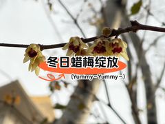 -丰台花园