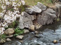 -羊山湖公园