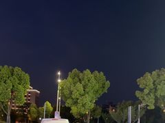 -正新鸡排·炸鸡汉堡(溧阳店)