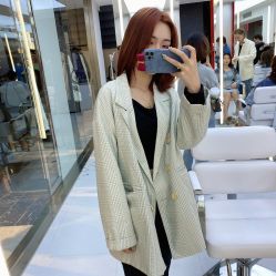 点击看大图 -金棕榈