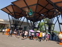 -上海长兴岛郊野公园