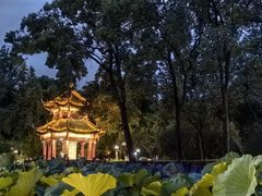 -房湖公园