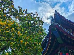 -灵谷景区