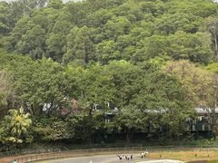 -深圳野生动物园