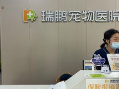 -瑞鹏宠物医院·骨外科·心肾科·肿瘤科(九亭店)
