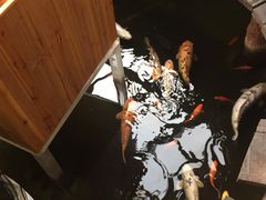 -上海大自然野生昆虫馆