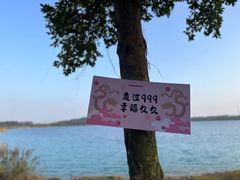 -露天矿生态公园