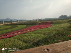 -光明小镇欢乐田园