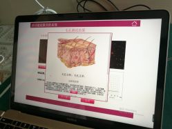 -汐月Health纤体spa中心