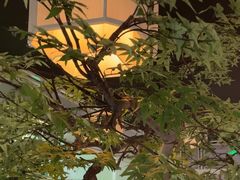 -绿茶餐厅(广州天河城店)