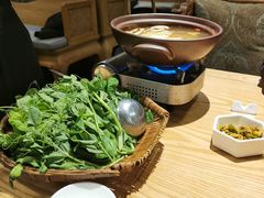 鸡汤豌豆尖-巴蜀风·地道川菜(总店)