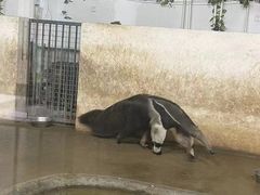 -石家庄市动物园