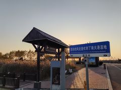 -南大港湿地风景区