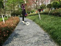 -龙头寺公园