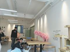 -绒爪撸猫下午茶·猫咖