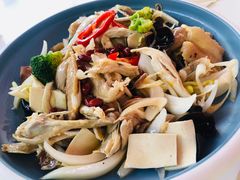 新疆椒麻鸡-董小西的凉皮和椒麻鸡(三元桥店)