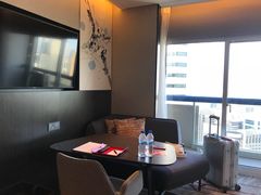 -新加坡瑞士史丹福酒店