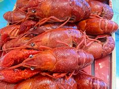-阳光院坝小龙虾(红牌楼店)