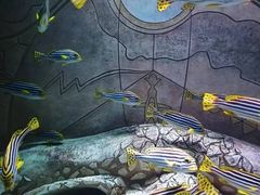 -亚龙湾海底世界