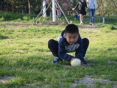 -昆山城市生态森林公园