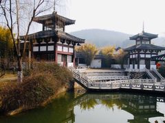 -镇江市南山风景名胜区竹林景区