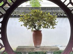 -上海醉白池公园