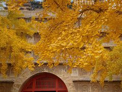 -北京石刻艺术博物馆(五塔寺)