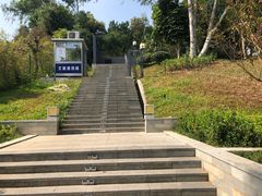-清湖文化公园