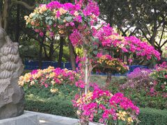 -广州雕塑公园