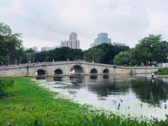 -荔湾湖公园