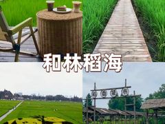 -老鼎万春卤菜(五代传承创始老店)