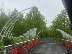 -东平国家森林公园