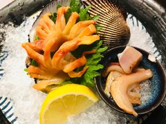 原只活赤贝-松岛日本料理(汾江路店)