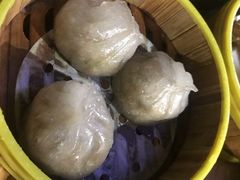 -肥佬夜茶(早茶·西乡店)