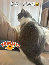 -ChuLian初莲日式美甲美睫