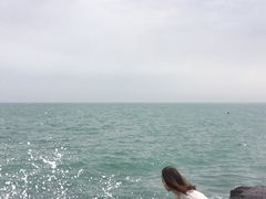 -硇洲岛旅游区