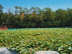 -郑州方特梦幻王国