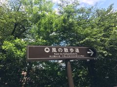 -三鹰之森吉卜力美术馆