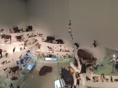 -墨尔本博物馆(Melbourne Museum)