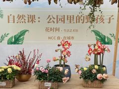 -海心沙亚运公园