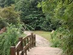 android_upload_pic-穹窿山景区