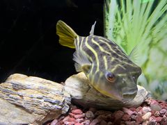 -上海海洋水族馆