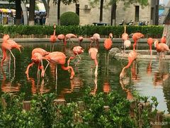 -石家庄市动物园