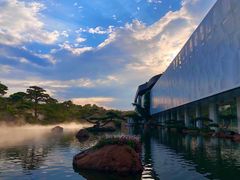 -罗红摄影艺术馆